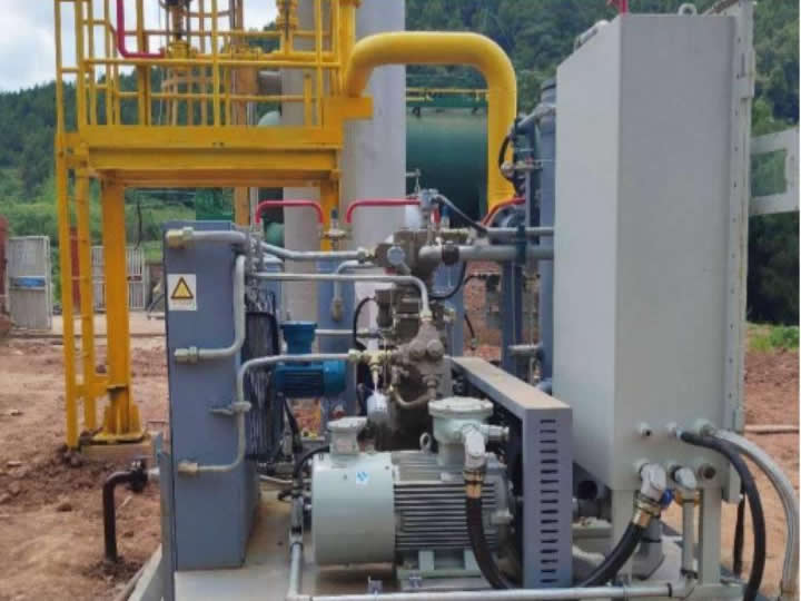 Gas field project
